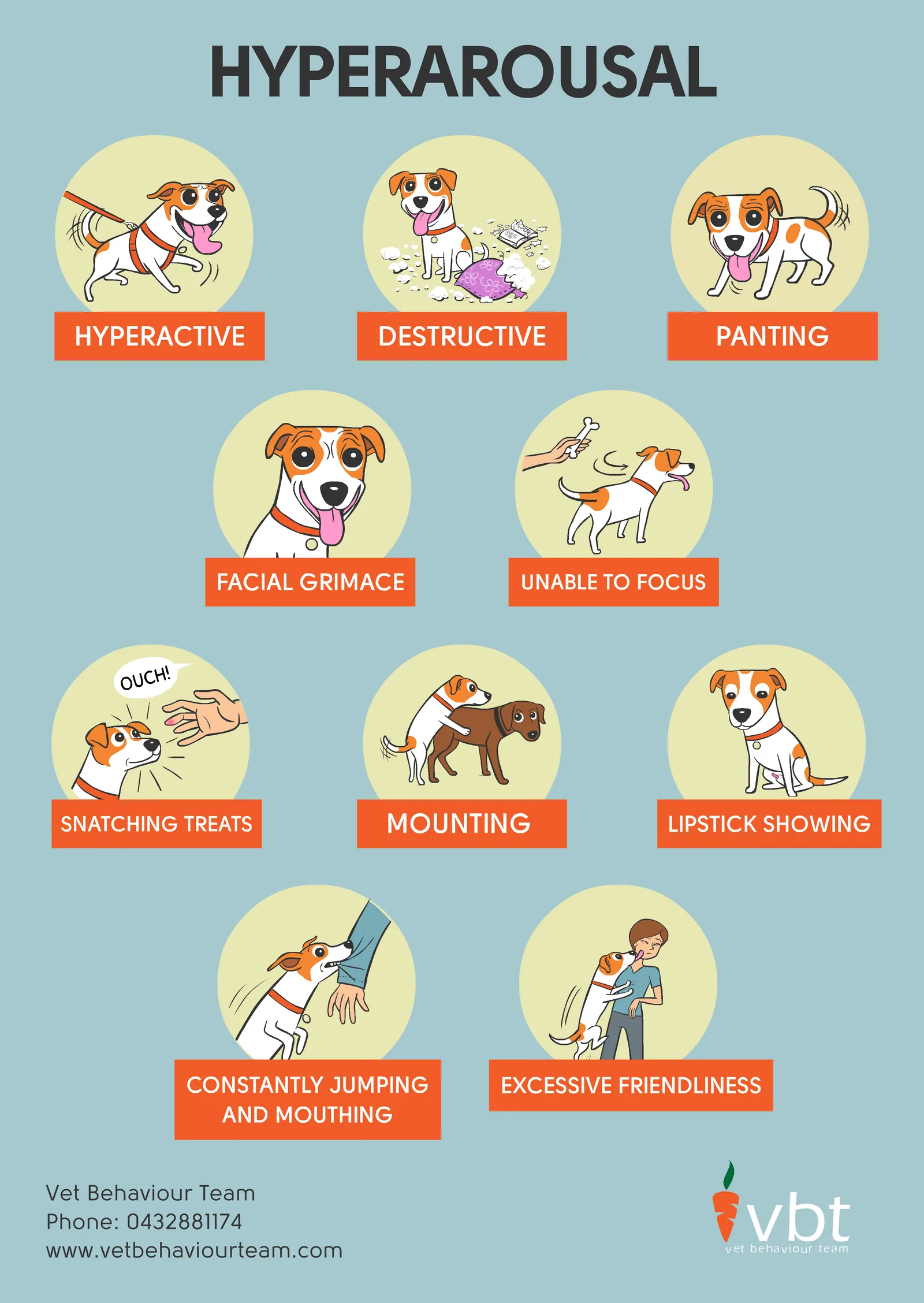 Does your dog seem 'hyper'? poster