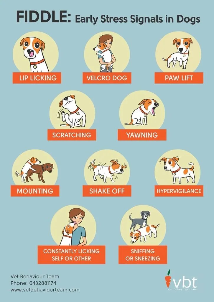 Early stress signs in dogs poster