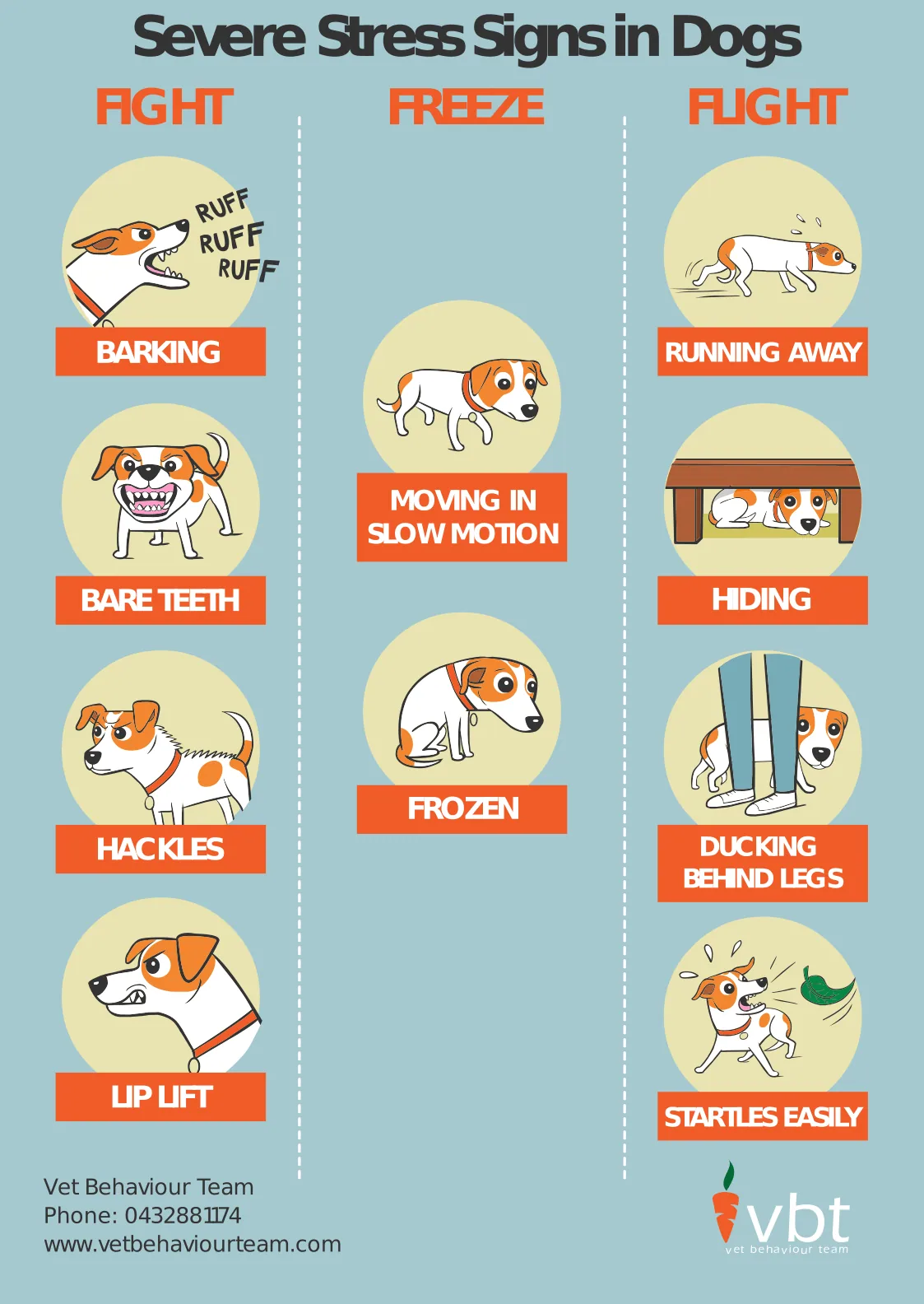 Severe stress signs in dogs poster