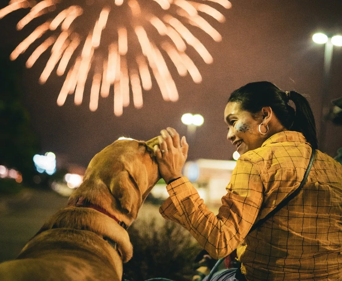 Fireworks in a night sky